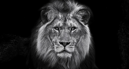 A close-up of a beautiful lion in black and white, featuring an intense, focused gaze. The lion's detailed and majestic mane stands out against a dark background. Generative AI