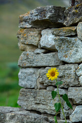 Rural landscape in the Republic of Moldova. Photo with beautiful nature from the country in Eastern Europe.