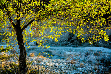 Fototapeta premium Rural landscape in the Republic of Moldova. Photo with beautiful nature from the country in Eastern Europe.