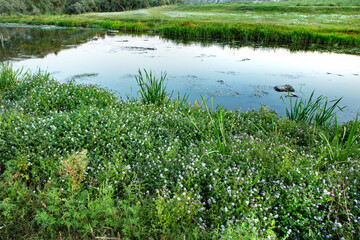Rural landscape in the Republic of Moldova. Photo with beautiful nature from the country in Eastern Europe.