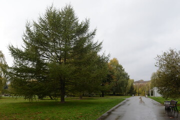 Park near the Lower Pond in Kaliningrad