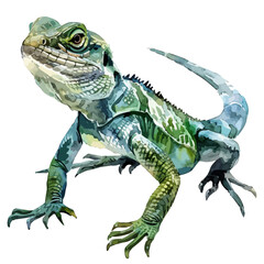 Watercolor vector of Lizard, isolated on a white background, and Lizard vector