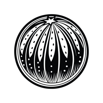 recommend clip art: Watermelon fruit icon vector illustration on white background.