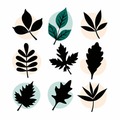 Set of leaves vector illustration on a isolated white background (25)