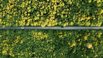 Aerial view of a car traveling down a straight road that slices through a dense forest. © NewSaetiew