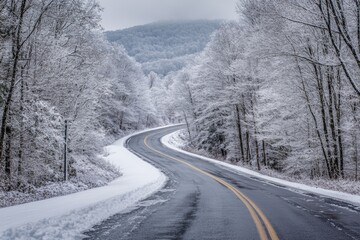 Obraz premium Asheville Winter: Snow-Covered Blue Ridge Parkway Closed to Winter Traffic