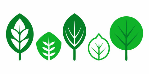 Set of green leaf icons on white background
