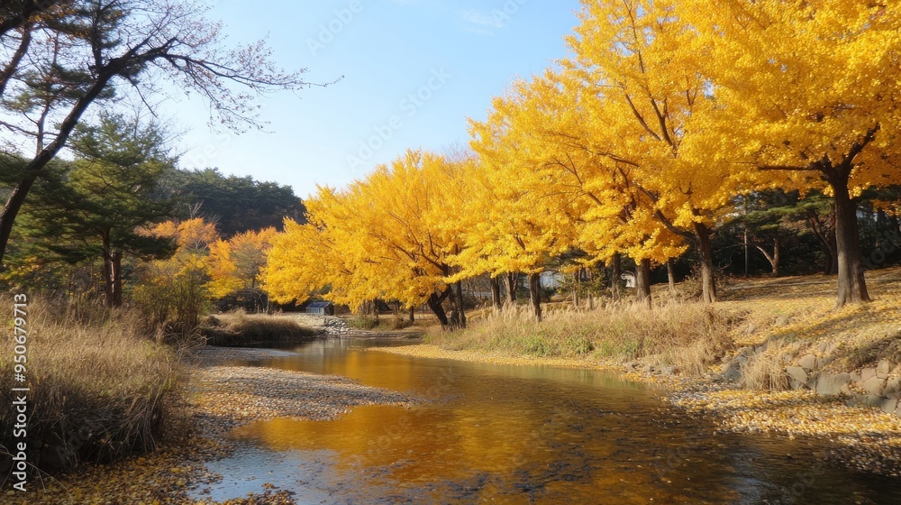 Wall mural Golden Autumn by the River