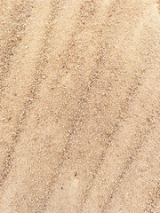 Light Yellow Abstract Sandy Textured Vertical Surface Monochrome Background