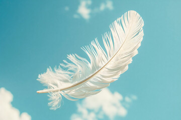 Fototapeta premium White Feather Soaring: A single white feather drifts gracefully through a serene blue sky, its delicate form illuminated by warm sunlight. Capturing a sense of lightness, freedom, and ethereal beauty.