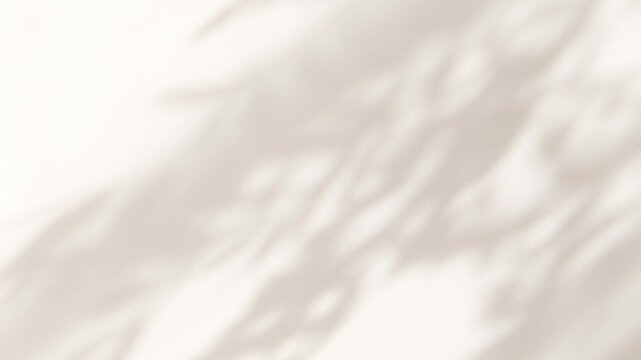 Abstract silhouette shadow white background of natural leaves tree branch falling on wall. Transparent blurry shadow leaf in morning sun light. Copy space for text.