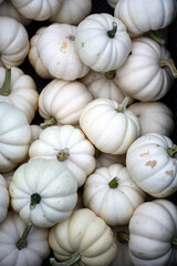 White-Pumpkins