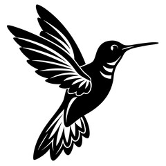 Obraz premium hummingbird vector illustration