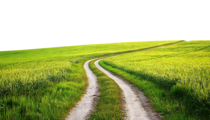 Countryside road in lush grassy landscape, cut out