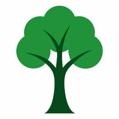green tree isolated on white
