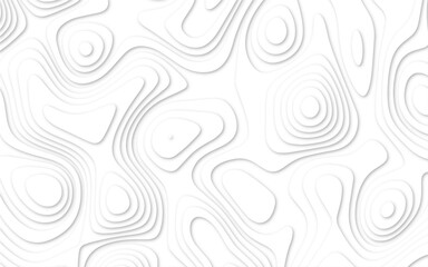 Abstract wavy line 3d paper cut white background. minimal topography map light element shadow landscape.