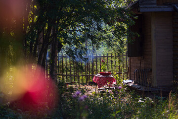 Summer dacha atmosphere on the Kola Peninsula. Flowers in the garden