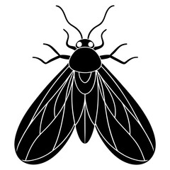 illustration of a fly  vector silhouette illustration with white background 