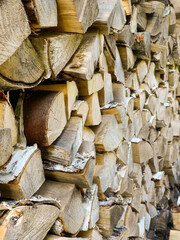 close up of birch  stacked dry split logs, pile of firewood ready for winter