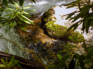 Moss rock with a little creek background and branches in the front.