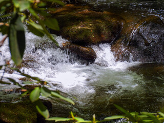 waterfall in the forest