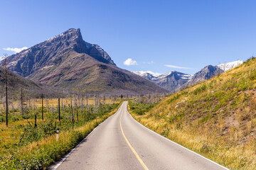 Scenic Road Leading to Mountain in Waterton, Alberta, Canada