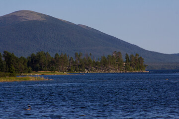 The coastline of the White Sea, in summer, in July, in the Murmansk region, in the north.Tourism, deserted place of rest