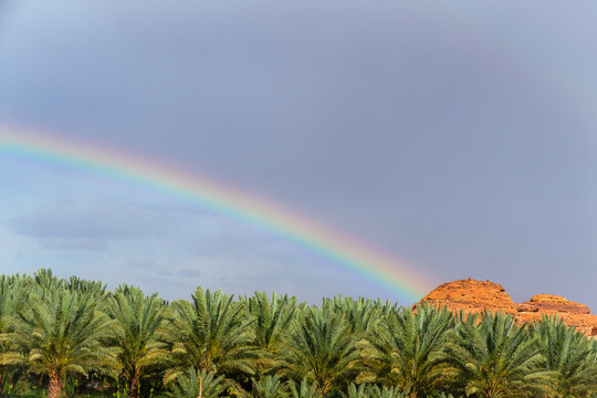 Regenbogen &uuml;ber der Dattelpalmen Oase  im W&uuml;stenland AlUla Medina Saudi-Arabien 
