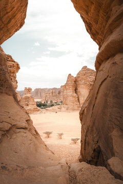 Ausblick auf Schluchten, Klippen, Felsen, Felsformationen drei einsame B&auml;ume im W&uuml;stenland AlUla Medina Saudi-Arabien 
