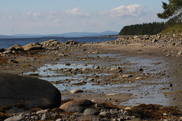 The coastline of the White Sea, in summer, in July, in the Murmansk region, in the north.Tourism, deserted place of rest