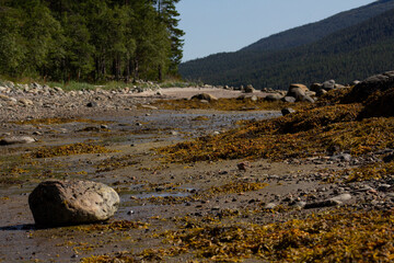 The coastline of the White Sea, in summer, in July, in the Murmansk region, in the north.Tourism, deserted place of rest