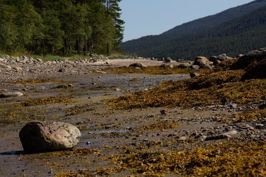 The coastline of the White Sea, in summer, in July, in the Murmansk region, in the north.Tourism, deserted place of rest