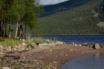 The coastline of the White Sea, in summer, in July, in the Murmansk region, in the north.Tourism, deserted place of rest