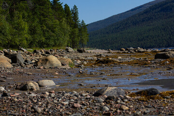 The coastline of the White Sea, in summer, in July, in the Murmansk region, in the north.Tourism, deserted place of rest
