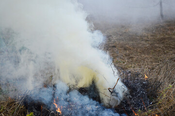 fire and acrid thick smoke from burning dry leaves, branches and grass. damage to the environment...