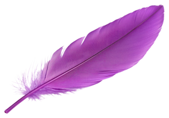 PNG Vibrant purple feather isolated