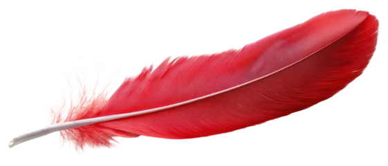 PNG Vibrant red feather isolated white