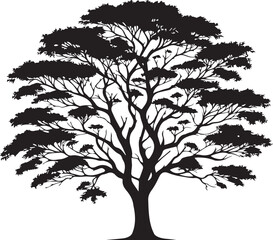 Obraz premium Black and white tree silhouette design
