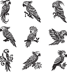Black and white parrot silhouette design collection