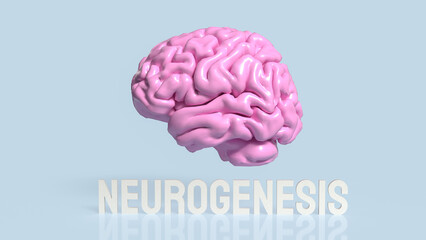 The Brain and neurogenesis text for sic or health concept 3d rendering.