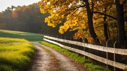 Autumn Harmony: A Stroll Down Nature's Vibrant Pathway