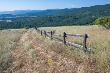 Fototapeta premium Summer Landscape of Rudina mountain, Bulgaria