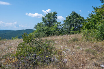 Summer Landscape of Rudina mountain, Bulgaria
