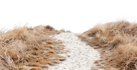 PNG Sandy path border, transparent background