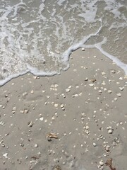 Wave Crashing on Sandy Beach with Shells in Naples Florida