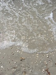Wave Crashing on Sandy Beach with Shells in Naples Florida