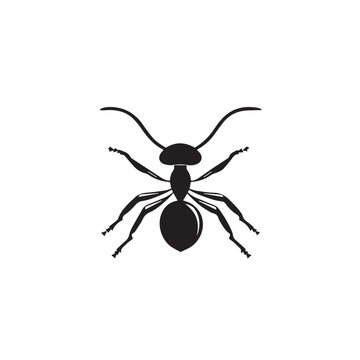 recommend clip art: Ant in cartoon, doodle style . Image for t-shirt, web, mobile apps and ui. Isolated 2d vector illustration in logo, icon, sketch style, Eps 10, black and white. AI Generative