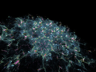 Imaginatory fractal abstract background Image