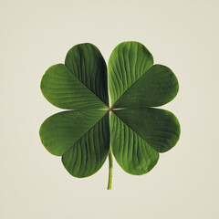 Four-leaf green clover isolated on white background, symbolizing good luck