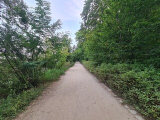 Naturpfad im Plänterwald - Berlin Treptow/Köpenick